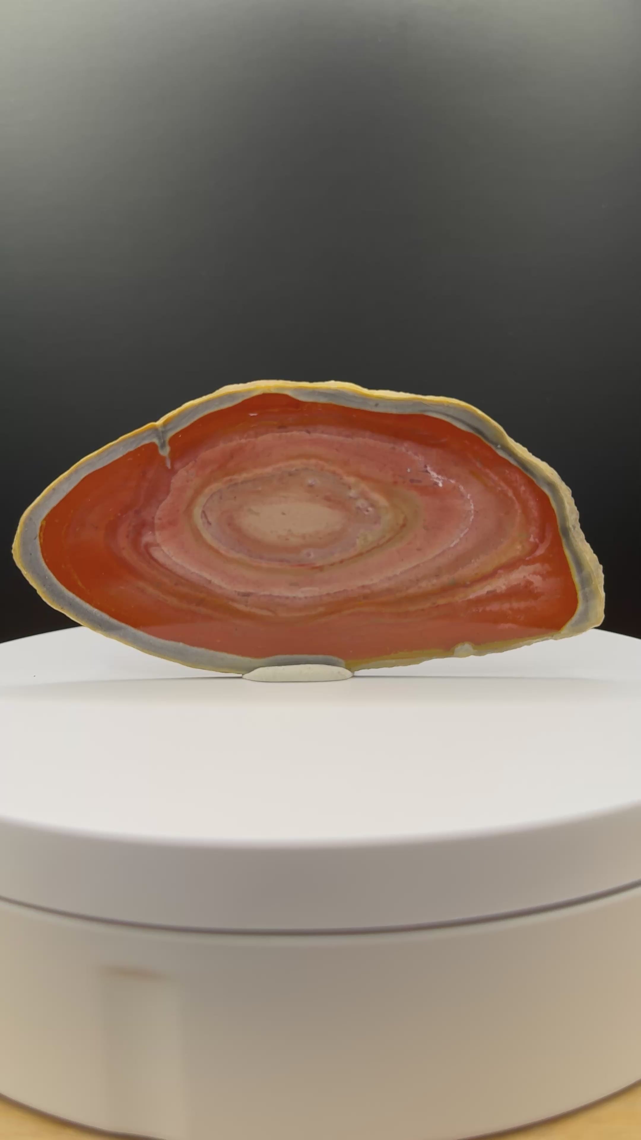 Große Bohnerzjaspis Scheibe